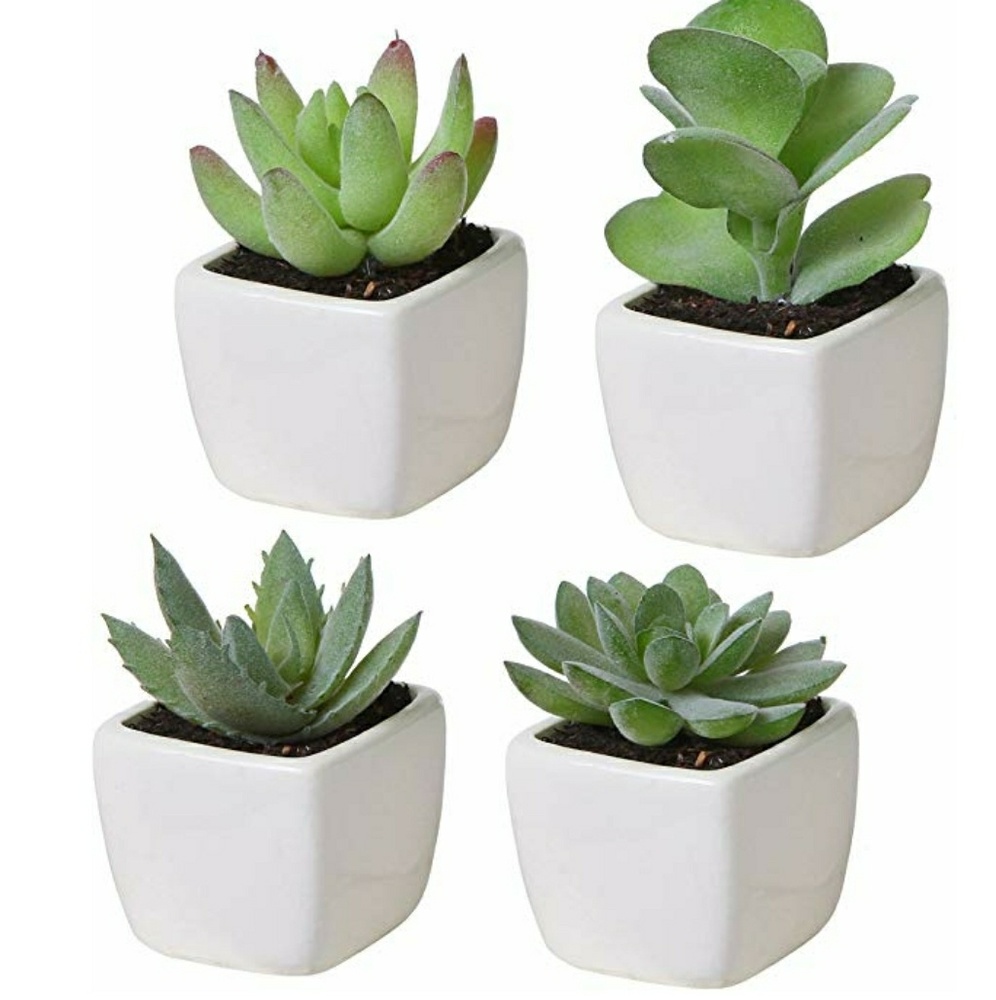 Set of 4 Mini Assorted Green Artificial Succulent